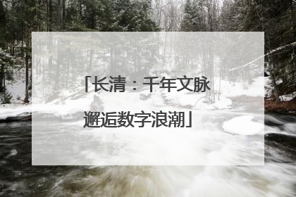 长清：千年文脉邂逅数字浪潮