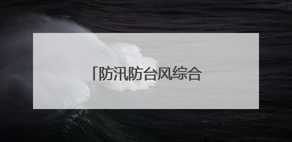 防汛防台风综合应急演练保安全