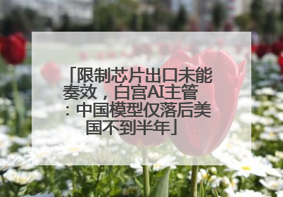 限制芯片出口未能奏效，白宫AI主管：中国模型仅落后美国不到半年