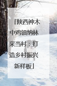 陕西神木中鸡镇纳林采当村：打造乡村振兴新样板
