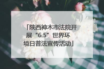 陕西神木市法院开展“6.5”世界环境日普法宣传活动