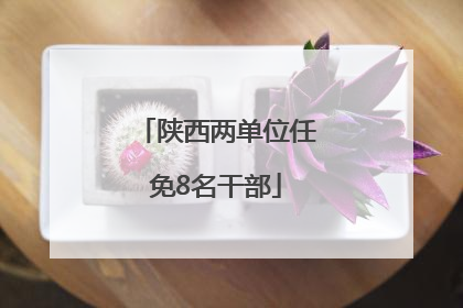 陕西两单位任免8名干部