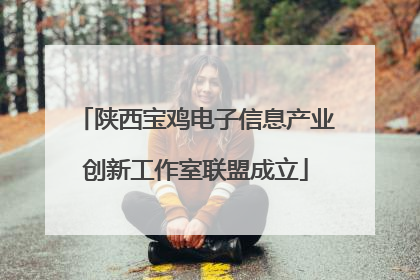 陕西宝鸡电子信息产业创新工作室联盟成立