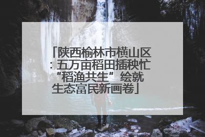 陕西榆林市横山区：五万亩稻田插秧忙 “稻渔共生”绘就生态富民新画卷