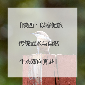 陕西：以赛促旅 传统武术与自然生态双向奔赴