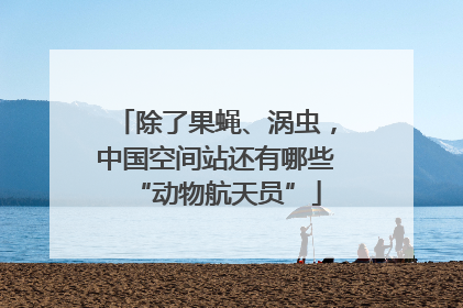 除了果蝇、涡虫，中国空间站还有哪些“动物航天员”
