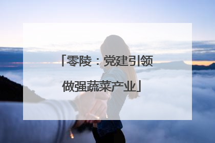 零陵：党建引领 做强蔬菜产业