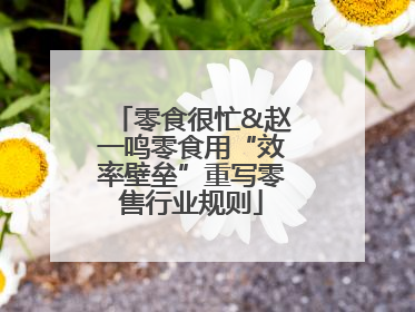零食很忙&赵一鸣零食用“效率壁垒”重写零售行业规则