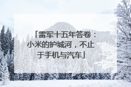 雷军十五年答卷：小米的护城河，不止于手机与汽车