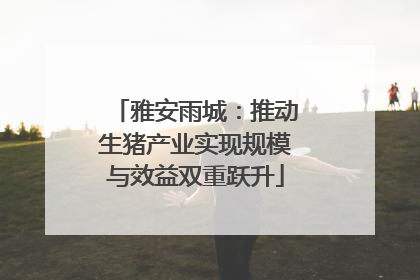 雅安雨城：推动生猪产业实现规模与效益双重跃升