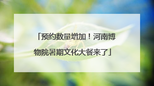 预约数量增加！河南博物院暑期文化大餐来了
