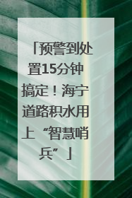 预警到处置15分钟搞定！海宁道路积水用上“智慧哨兵”