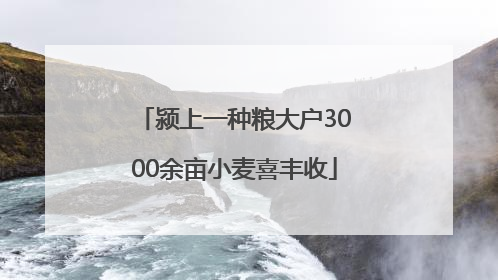 颍上一种粮大户3000余亩小麦喜丰收