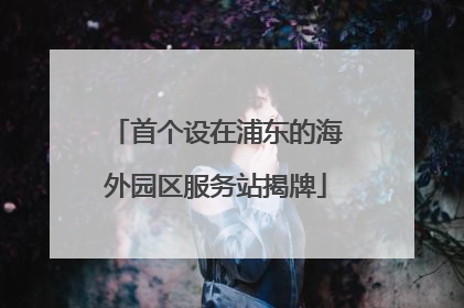 首个设在浦东的海外园区服务站揭牌