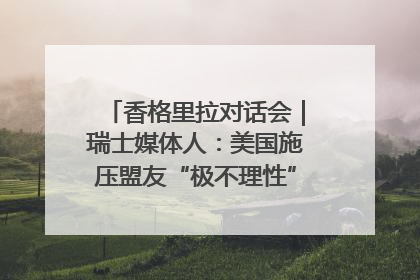 香格里拉对话会｜瑞士媒体人：美国施压盟友“极不理性” 欧洲国家无意与中国“脱钩断链”