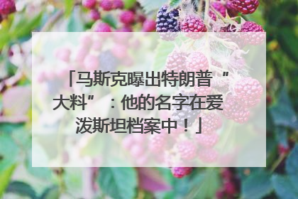 马斯克曝出特朗普“大料”：他的名字在爱泼斯坦档案中！