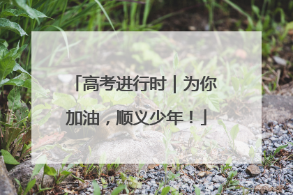 高考进行时｜为你加油，顺义少年！