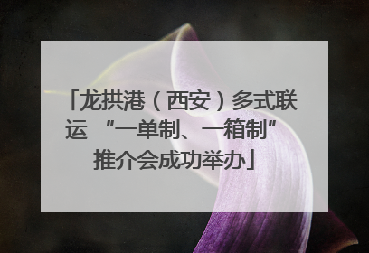 龙拱港（西安）多式联运 “一单制、一箱制” 推介会成功举办