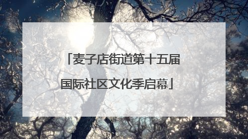 麦子店街道第十五届国际社区文化季启幕