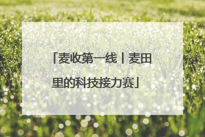 麦收第一线丨麦田里的科技接力赛