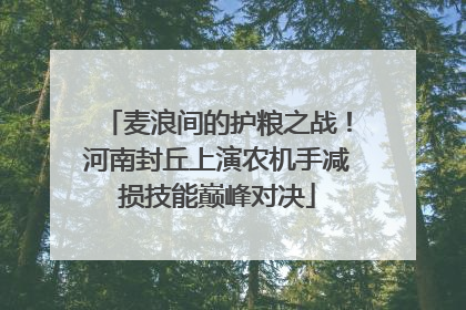 麦浪间的护粮之战！河南封丘上演农机手减损技能巅峰对决