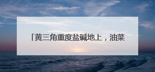 黄三角重度盐碱地上，油菜测产每亩超过180公斤