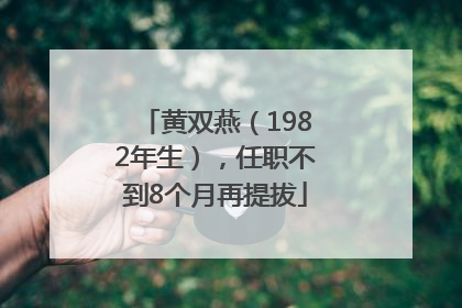 黄双燕（1982年生），任职不到8个月再提拔