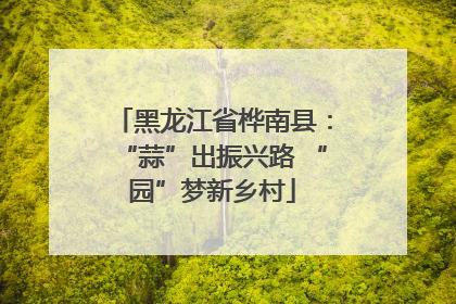 黑龙江省桦南县：“蒜”出振兴路 “园”梦新乡村