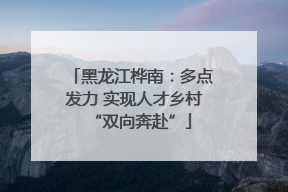 黑龙江桦南：多点发力 实现人才乡村“双向奔赴”
