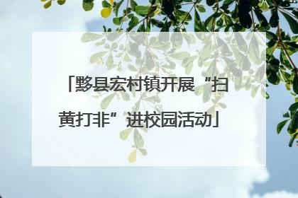 黟县宏村镇开展“扫黄打非”进校园活动