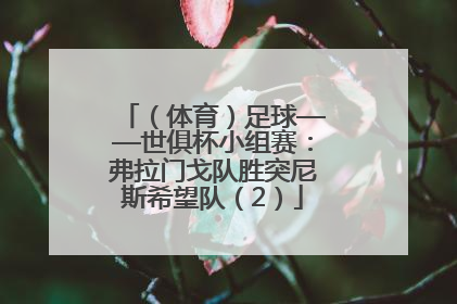 （体育）足球——世俱杯小组赛：弗拉门戈队胜突尼斯希望队（2）