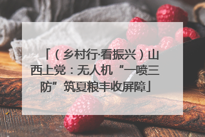 （乡村行·看振兴）山西上党：无人机“一喷三防”筑夏粮丰收屏障
