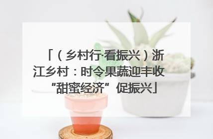 （乡村行·看振兴）浙江乡村：时令果蔬迎丰收 “甜蜜经济”促振兴