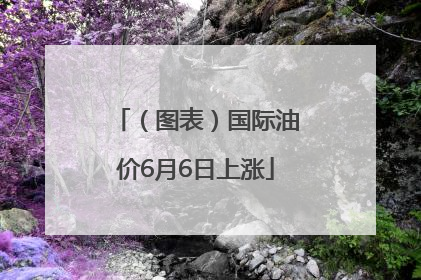（图表）国际油价6月6日上涨