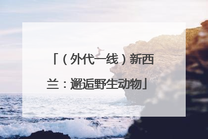 （外代一线）新西兰：邂逅野生动物