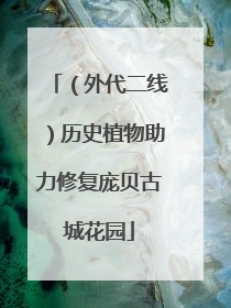 （外代二线）历史植物助力修复庞贝古城花园