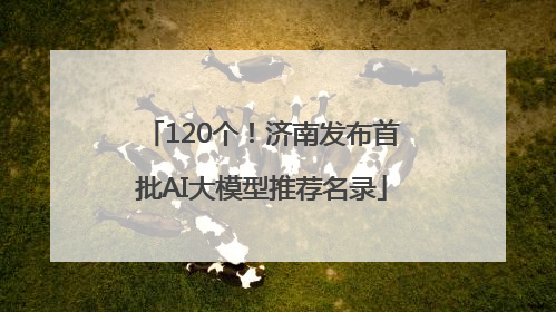 120个！济南发布首批AI大模型推荐名录