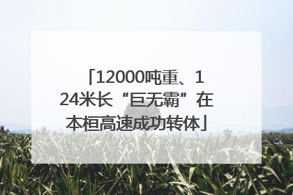 12000吨重、124米长“巨无霸”在本桓高速成功转体