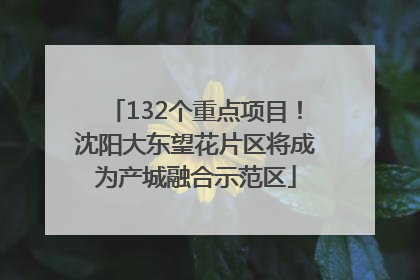 132个重点项目！沈阳大东望花片区将成为产城融合示范区
