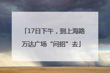 17日下午，到上海路万达广场“问招”去