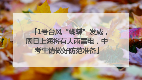 1号台风“蝴蝶”发威，周日上海将有大雨雷电，中考生请做好防范准备