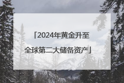 2024年黄金升至全球第二大储备资产