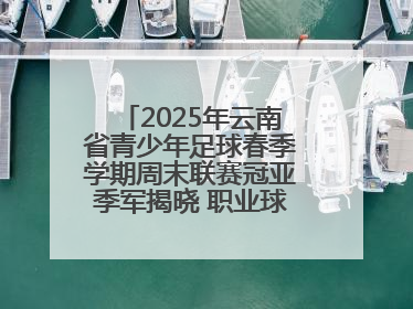 2025年云南省青少年足球春季学期周末联赛冠亚季军揭晓 职业球星与足球小将共享荣耀时刻