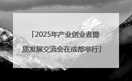 2025年产业创业者提质发展交流会在成都举行