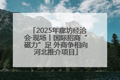 2025年廊坊经洽会·现场丨国际招商“磁力”足 外商争相向河北推介项目