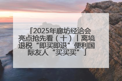 2025年廊坊经洽会亮点抢先看（十）丨离境退税“即买即退”便利国际友人“买买买”
