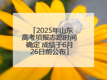 2025年山东高考填报志愿时间确定 成绩于6月26日前公布