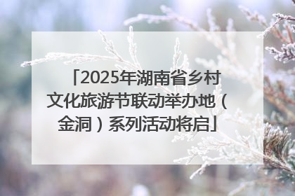 2025年湖南省乡村文化旅游节联动举办地（金洞）系列活动将启