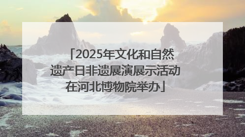 2025年文化和自然遗产日非遗展演展示活动在河北博物院举办