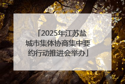 2025年江苏盐城市集体协商集中要约行动推进会举办